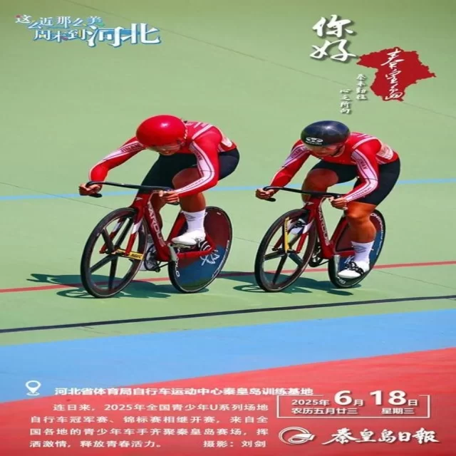 乒乓球冠军竞争格局深度解析:数据视角的全景揭示